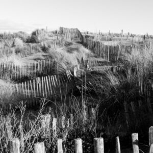 galerie-fahid-taghavi-jeremy-SPIERER