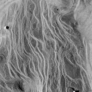 galerie-fahid-taghavi-jeremy-SPIERER