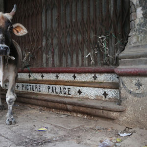 galerie-fahid-taghavi-simon-edelstein