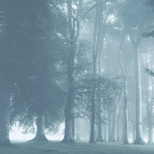 Hydrometeores 10, 2014