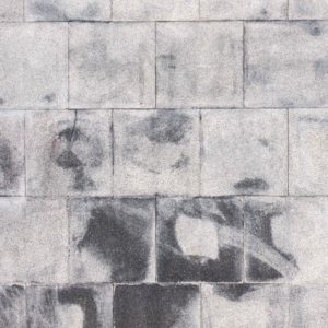 Jeremy Spierer - Photographie