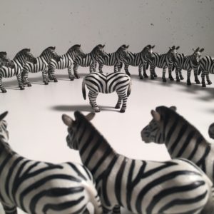 Point de Vue - VENDU