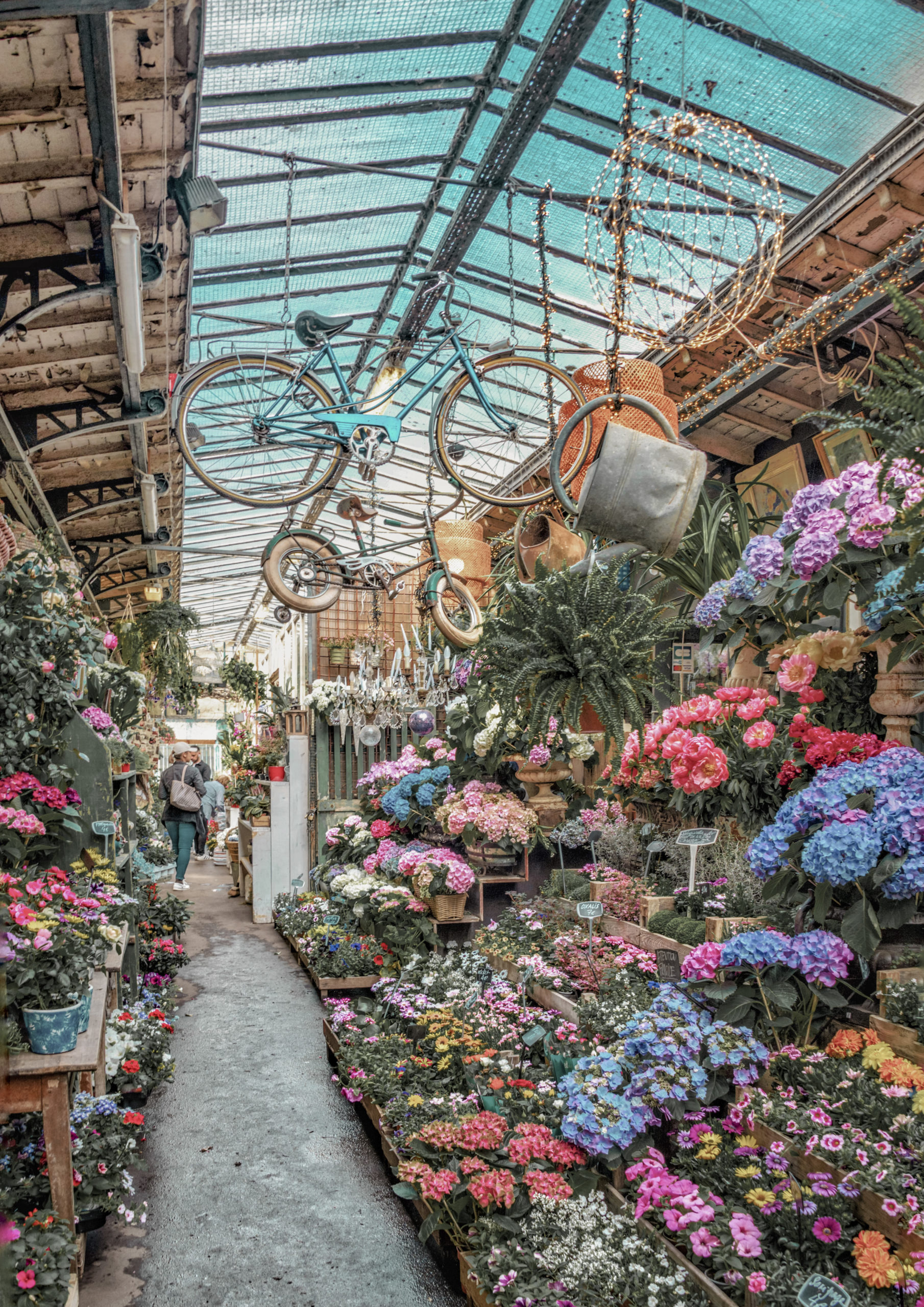 Marché Aux Fleurs / Flower Market - Romantic European cities photography by Giulia CREMONESE