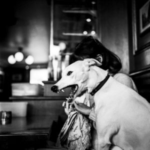 Bite Me - Photographie par Juliet Piper