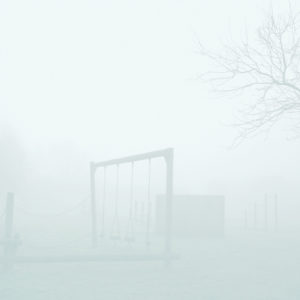 Hydrometeors 15 - Photographie d'arbres par Juliet Piper