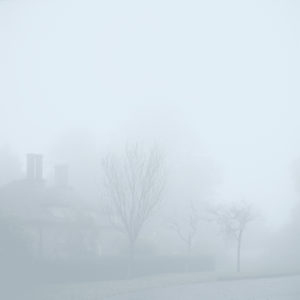 Hydrometeors 2 - Photographie d'arbres par Juliet Piper