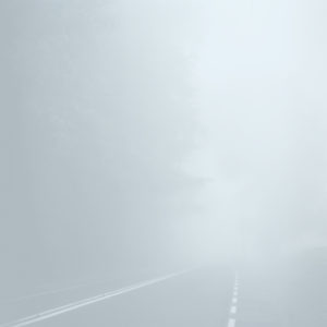 Hydrometeors 3 - Photographie d'arbres par Juliet Piper