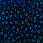 Luxons - Flowers - Contemporary Oil Painting by Nikolay Cherednichenko