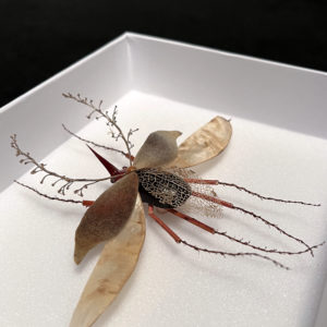 Césarion, 2022 - Insects réalises avec des plantes par Gabriel Ruta
