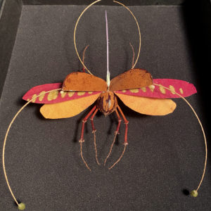 L'Éclaireuse Flamboyante, 2023 - Insects réalises avec des plantes par Gabriel Ruta