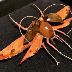 Le Robuste Élégant, 2022 - Insects réalises avec des plantes par Gabriel Ruta