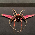 Le Rutilant Ailé, 2022 - Insects réalises avec des plantes par Gabriel Ruta