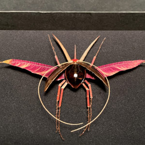 Le Rutilant Ailé, 2022 - Insects réalises avec des plantes par Gabriel Ruta