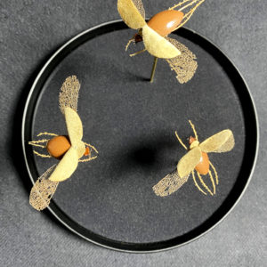 Parade Nuptiale, 2023 - Insects réalises avec des plantes par Gabriel Ruta