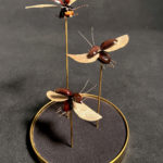 Sarabande - Insects réalises avec des plantes par Gabriel Ruta