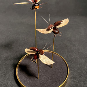 Sarabande - Insects réalises avec des plantes par Gabriel Ruta