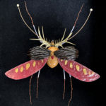 Sultana, 2023 - Insects réalises avec des plantes par Gabriel Ruta