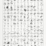 PROJET 2635 - - VISAGES EN VOIE D’EXTINCTION - réalises à l'encre de Chine par Gabriel Ruta