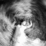 La Nuit Monochrome 18 - Photographie d'Angelina Bertrand