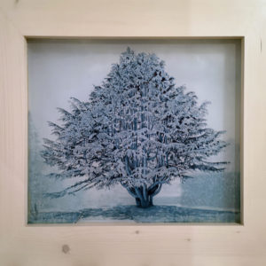 Cèdre de l’Himalaya - Peinture d'Ingrid Kaufmann