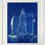 Épicéa, 2025 - Cyanotype - Peinture d'Ingrid Kaufmann