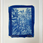XXX - Cyanotype - Peinture d'Ingrid Kaufmann