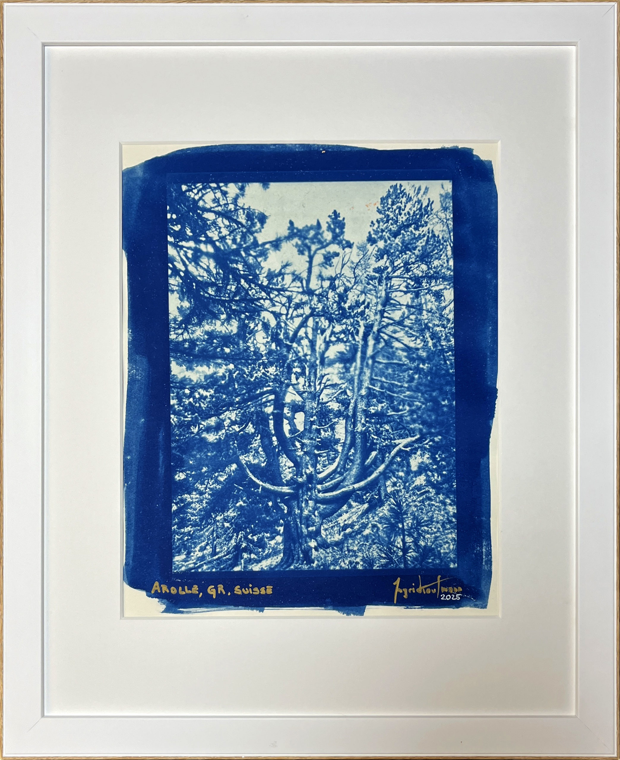 XXX - Cyanotype - Peinture d'Ingrid Kaufmann