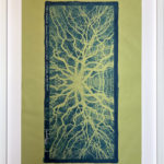 Chêne pédonculé, 2025 - Cyanotype - Peinture d'Ingrid Kaufmann