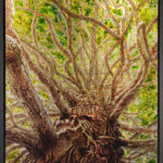 Calocèdre - Peinture d'Ingrid Kaufmann