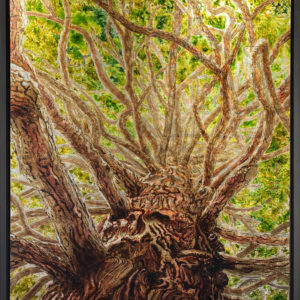 Calocèdre - Peinture d'Ingrid Kaufmann