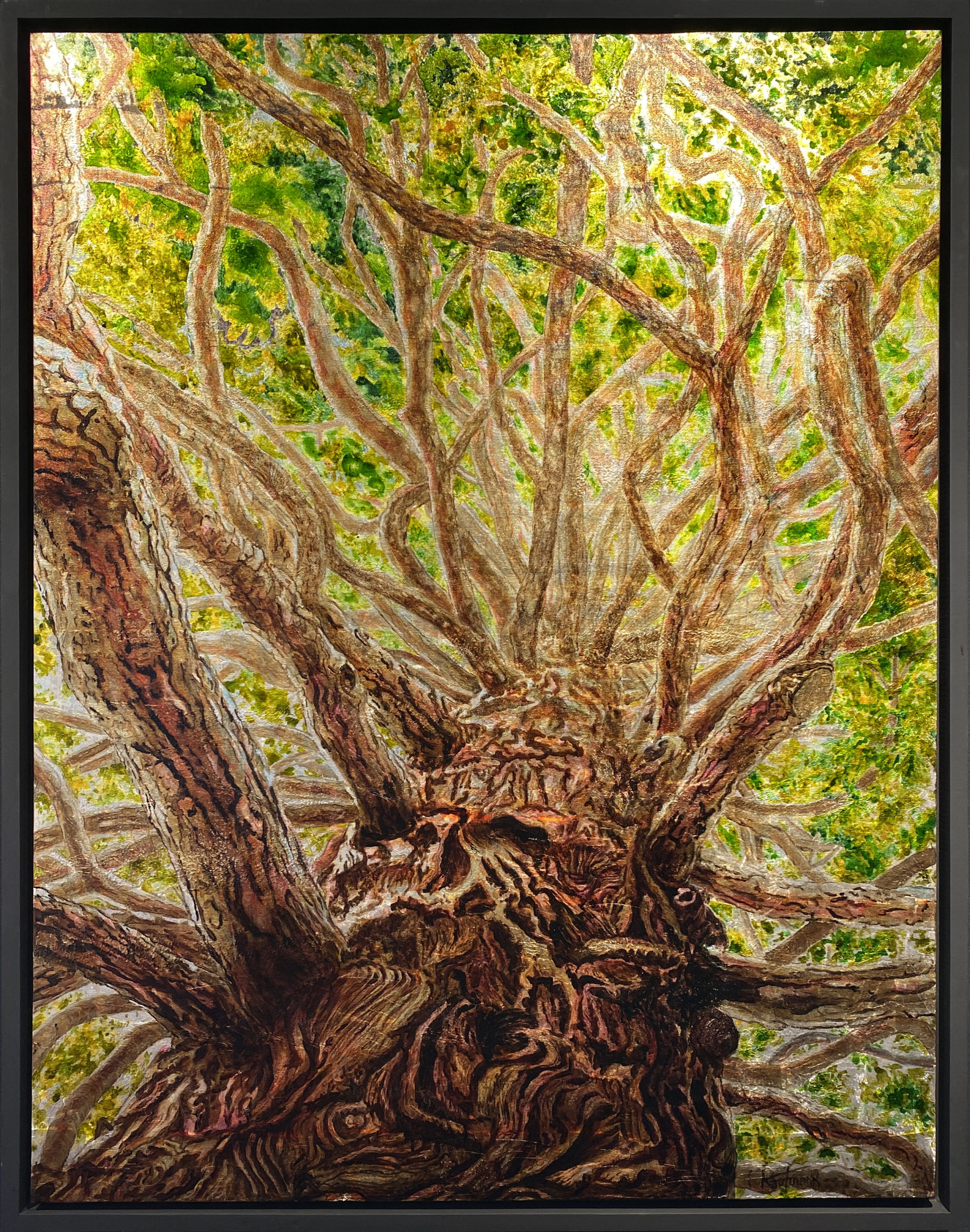 Calocèdre - Peinture d'Ingrid Kaufmann