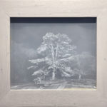 Cèdre de l’Atlas - Peinture d'Ingrid Kaufmann