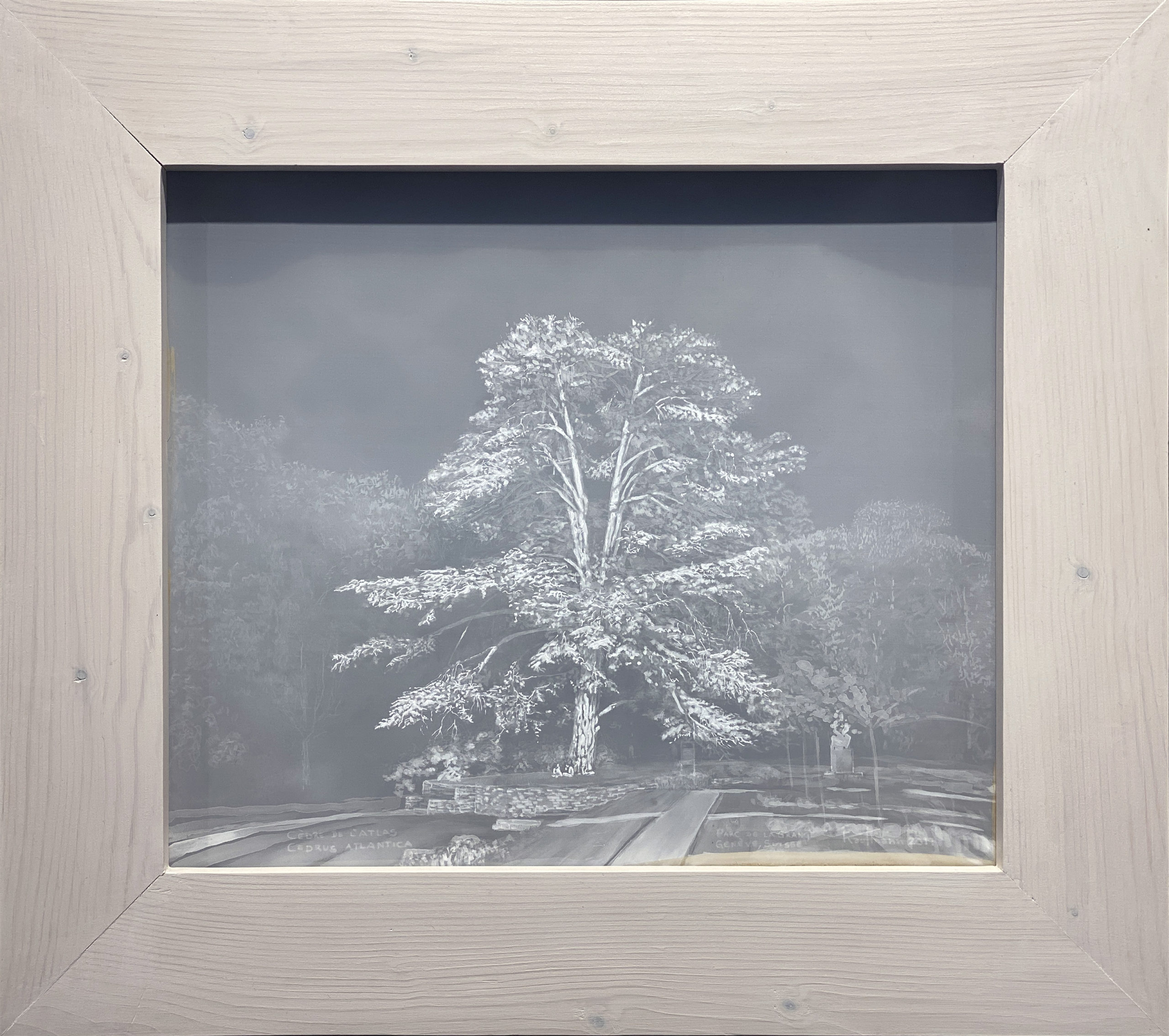 Cèdre de l’Atlas - Peinture d'Ingrid Kaufmann