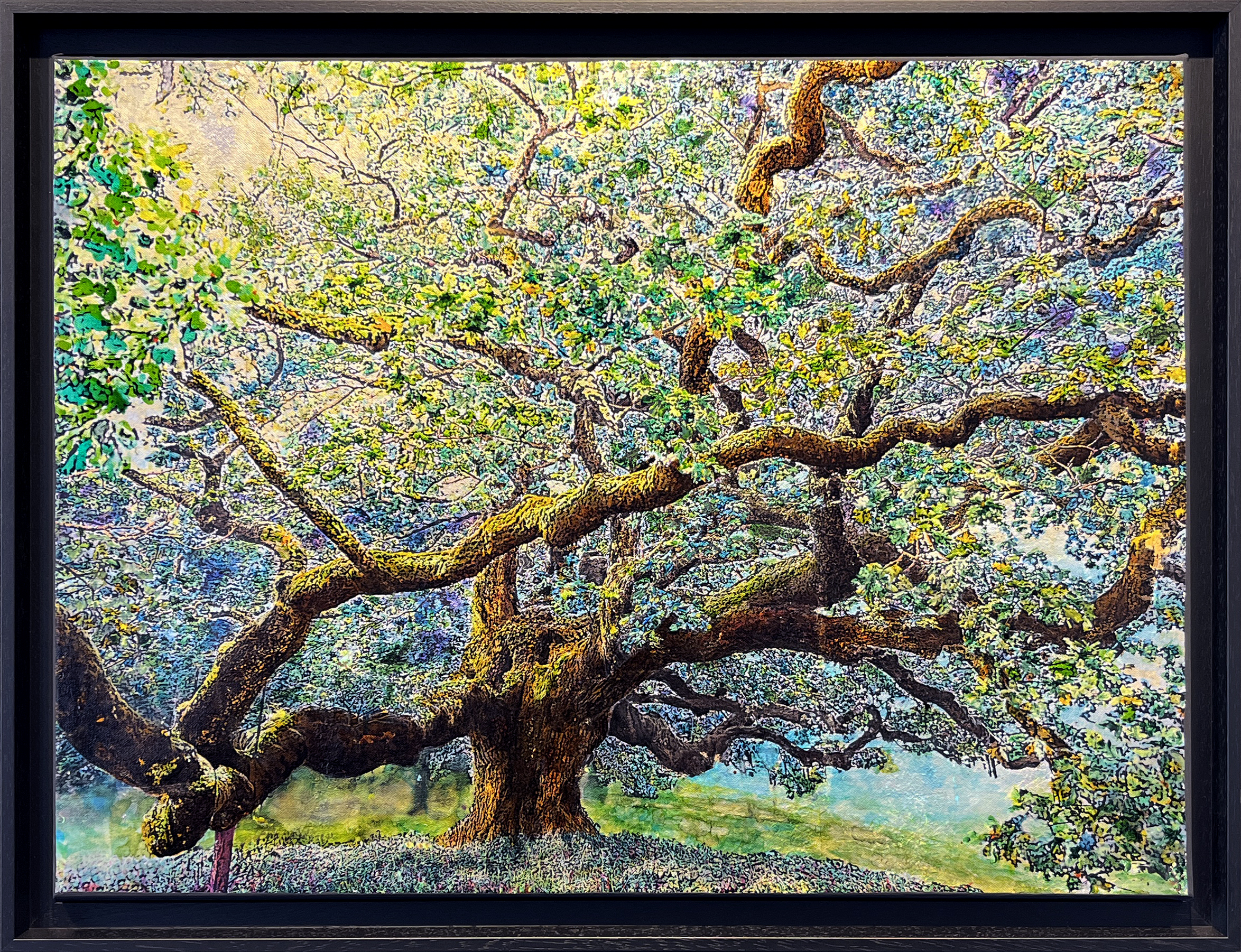 Chêne Pédoncule - Peinture d'Ingrid Kaufmann