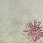 Piquants dessus dessous - Peinture contemporaine - Mael Denegri