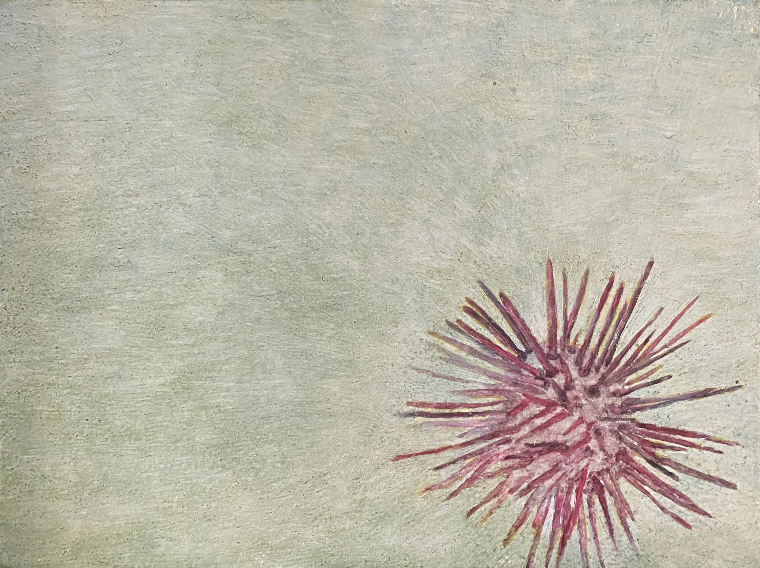 Piquants dessus dessous - Peinture contemporaine - Mael Denegri